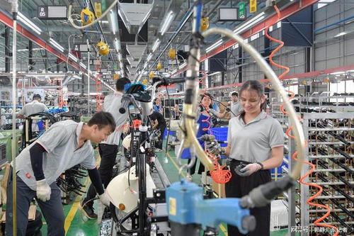 灣區(qū)媒體貴港行 走訪華南最大內(nèi)河港口,探秘電動車智能工廠